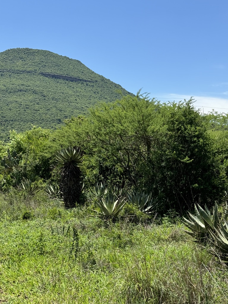 0 Bedroom Property for Sale in Weenen KwaZulu-Natal