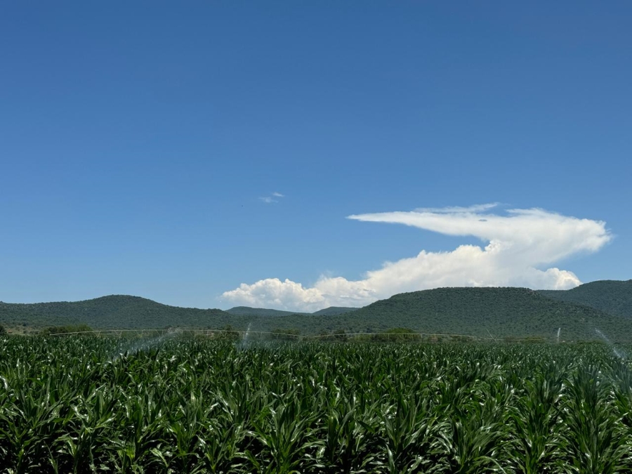 0 Bedroom Property for Sale in Weenen KwaZulu-Natal