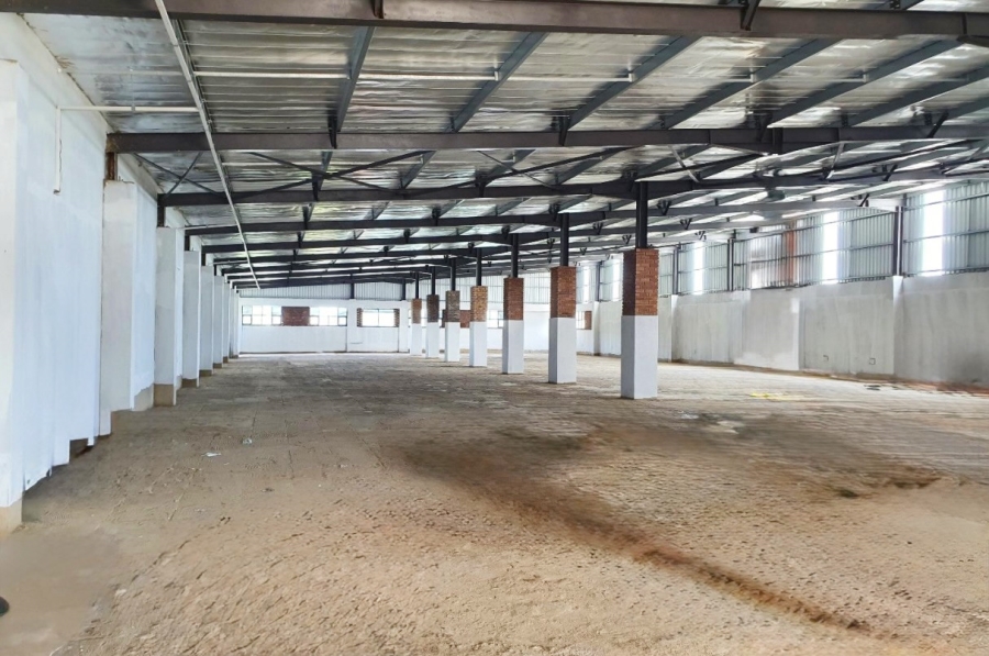 To Let commercial Property for Rent in Springfield KwaZulu-Natal