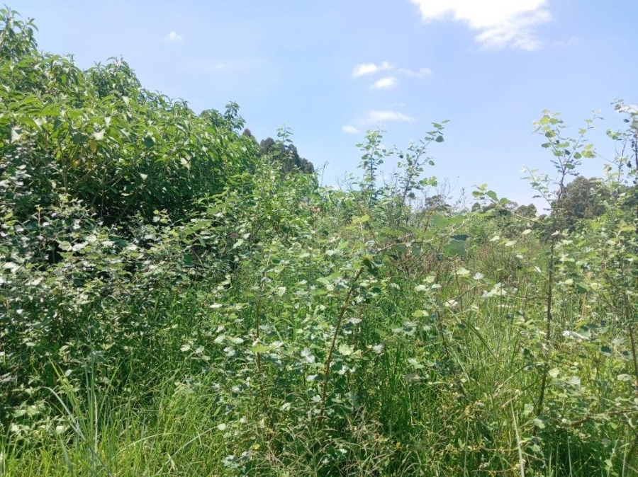 3 Bedroom Property for Sale in Howick Rural KwaZulu-Natal