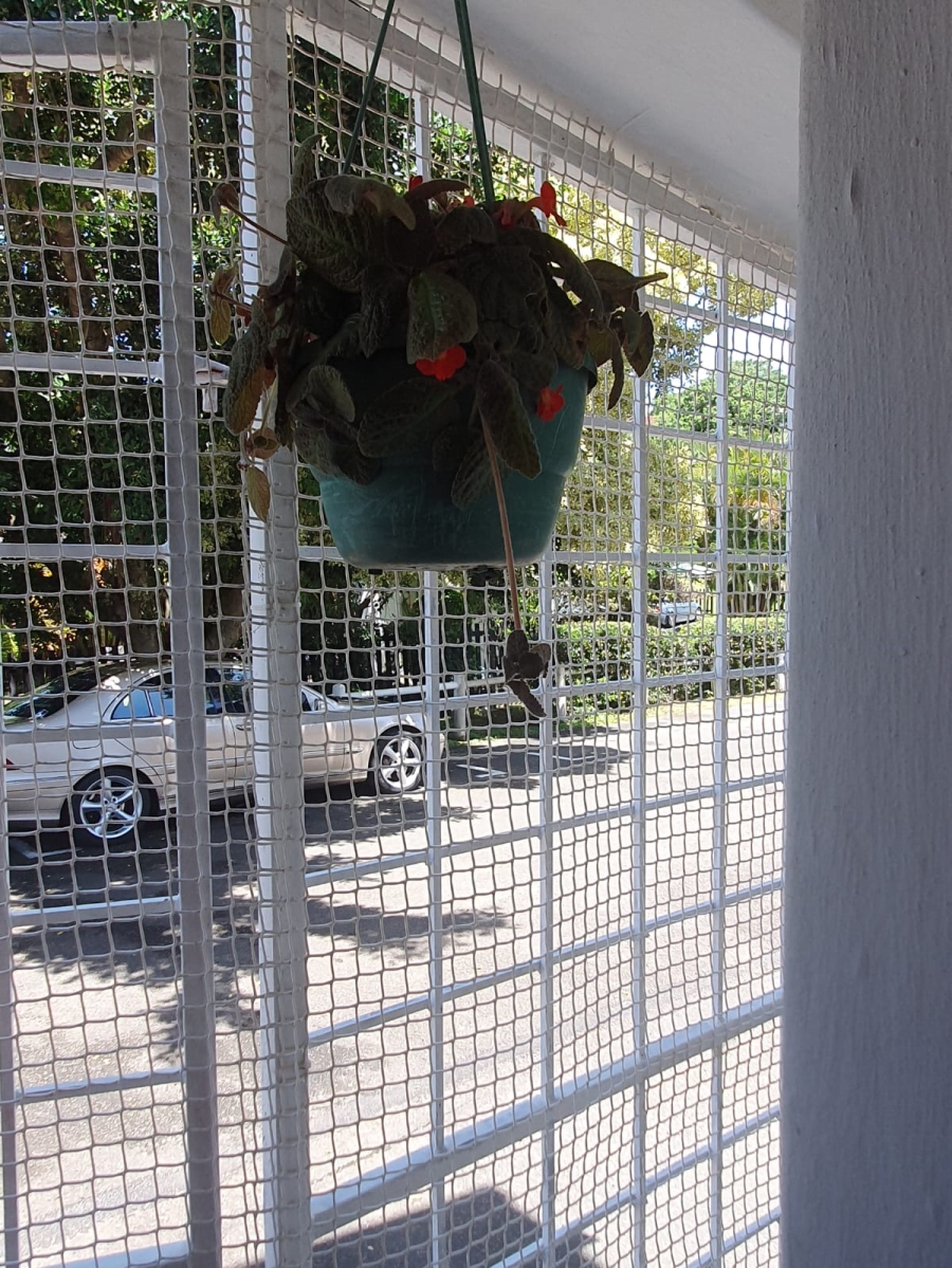 To Let 3 Bedroom Property for Rent in St Winifreds KwaZulu-Natal