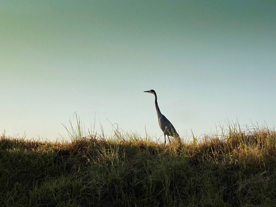 4 Bedroom Property for Sale in Seaton Estate KwaZulu-Natal