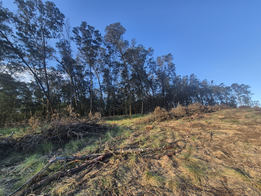 0 Bedroom Property for Sale in Lidgetton KwaZulu-Natal