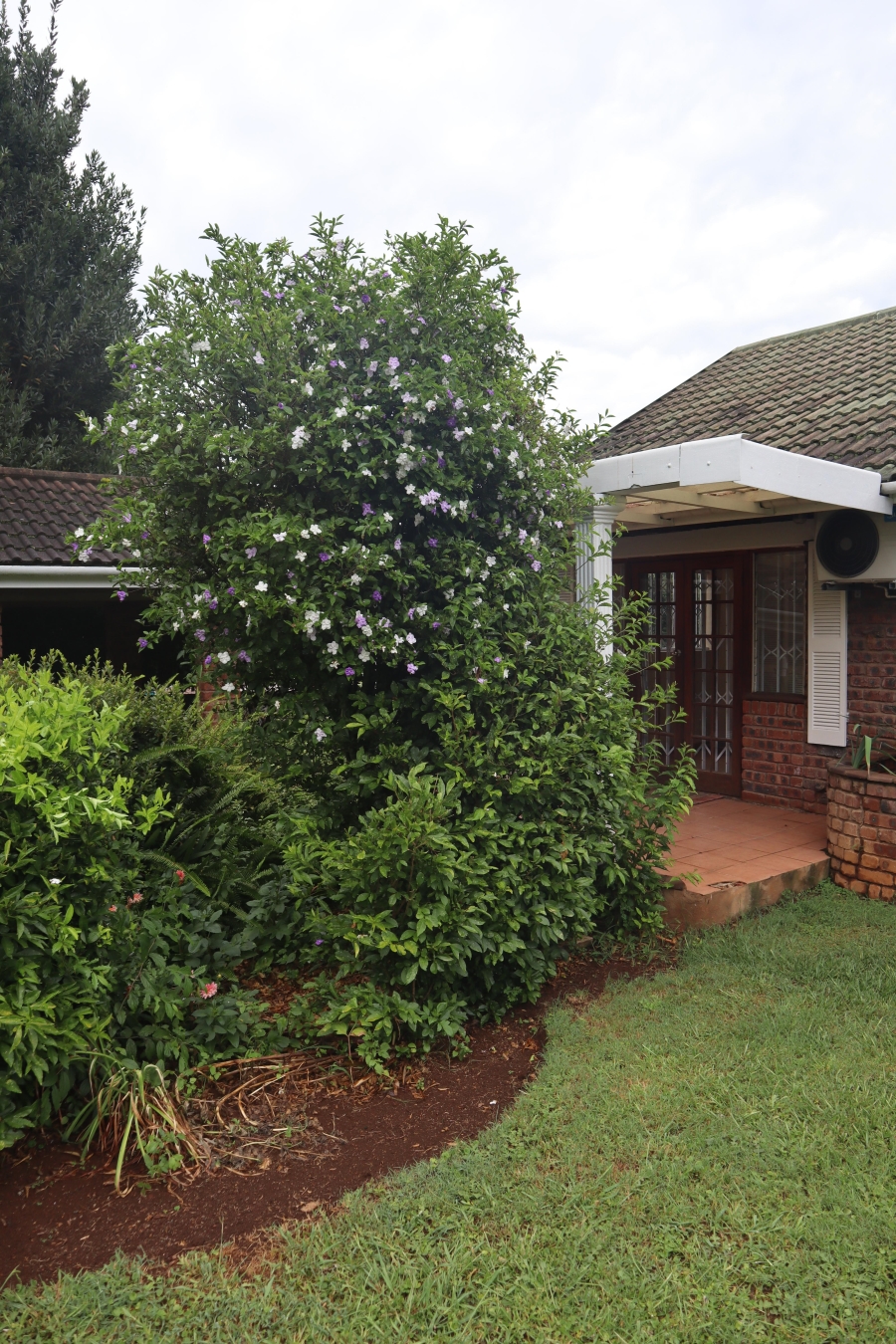 To Let 3 Bedroom Property for Rent in Greendale KwaZulu-Natal