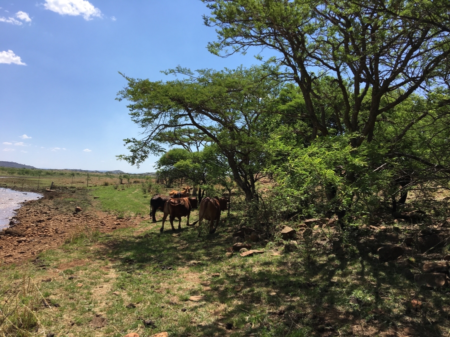 4 Bedroom Property for Sale in Ladysmith Rural KwaZulu-Natal