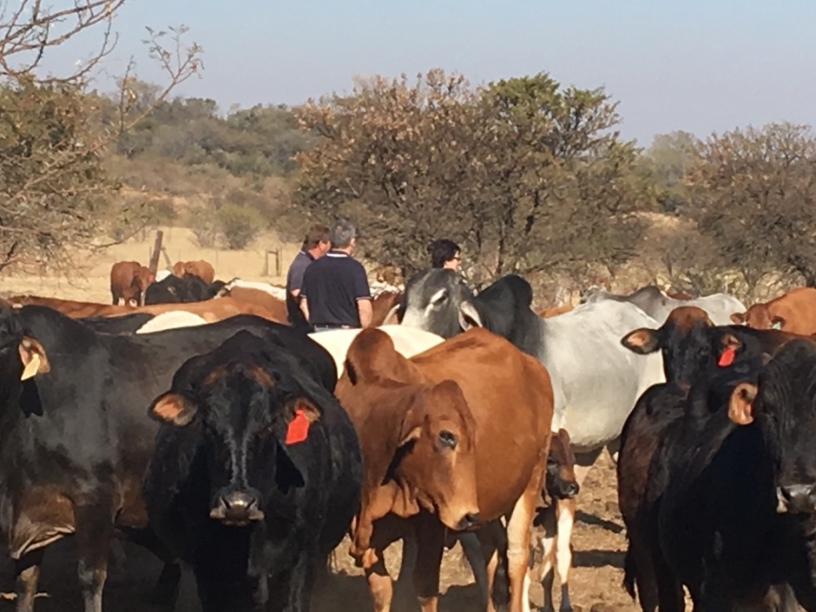 4 Bedroom Property for Sale in Ladysmith Rural KwaZulu-Natal