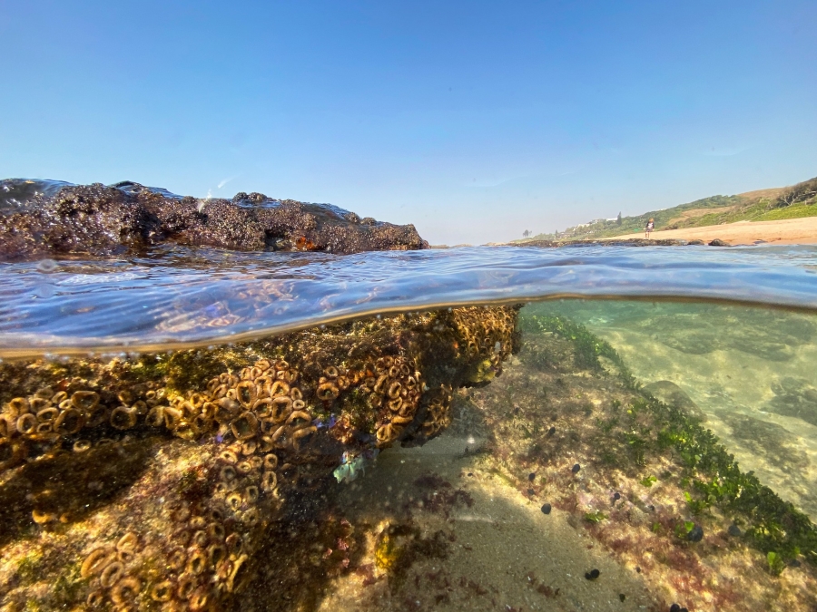 3 Bedroom Property for Sale in Seaton Estate KwaZulu-Natal