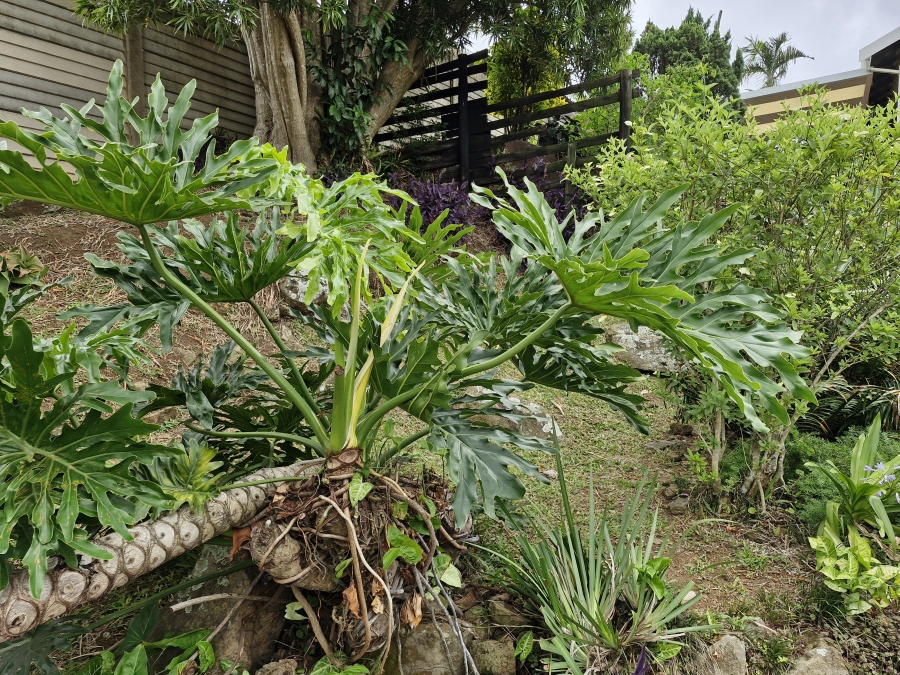 3 Bedroom Property for Sale in Malvern KwaZulu-Natal