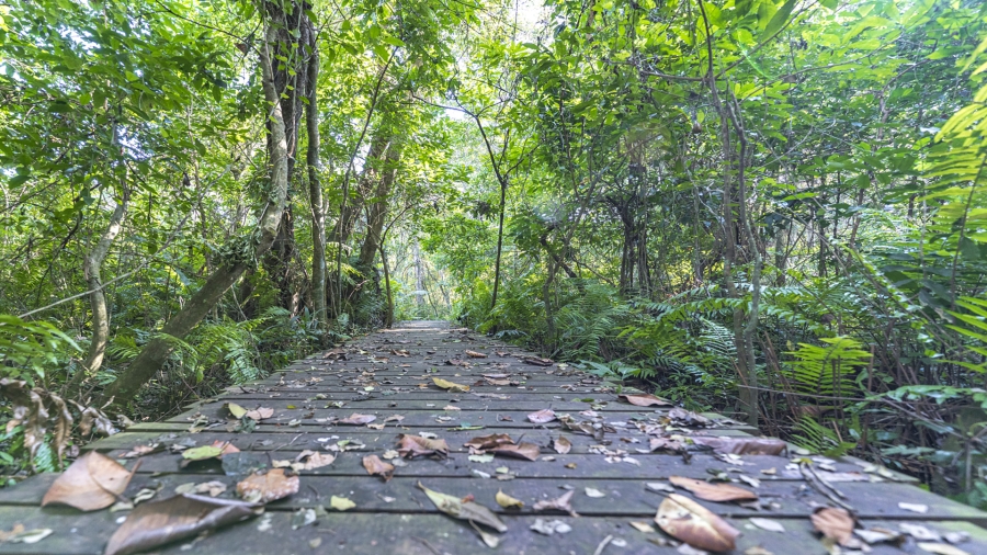 3 Bedroom Property for Sale in Elaleni Coastal Forest Estate KwaZulu-Natal