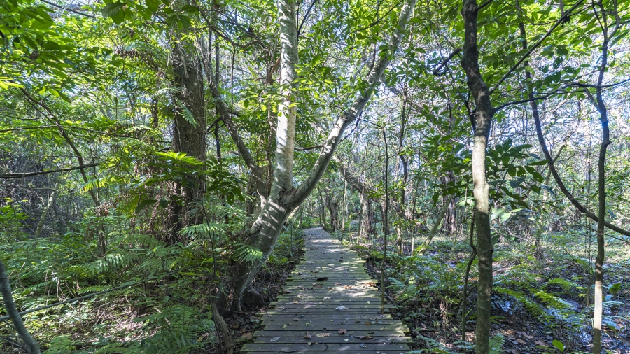 2 Bedroom Property for Sale in Elaleni Coastal Forest Estate KwaZulu-Natal