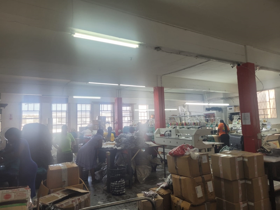 To Let commercial Property for Rent in Umbilo KwaZulu-Natal