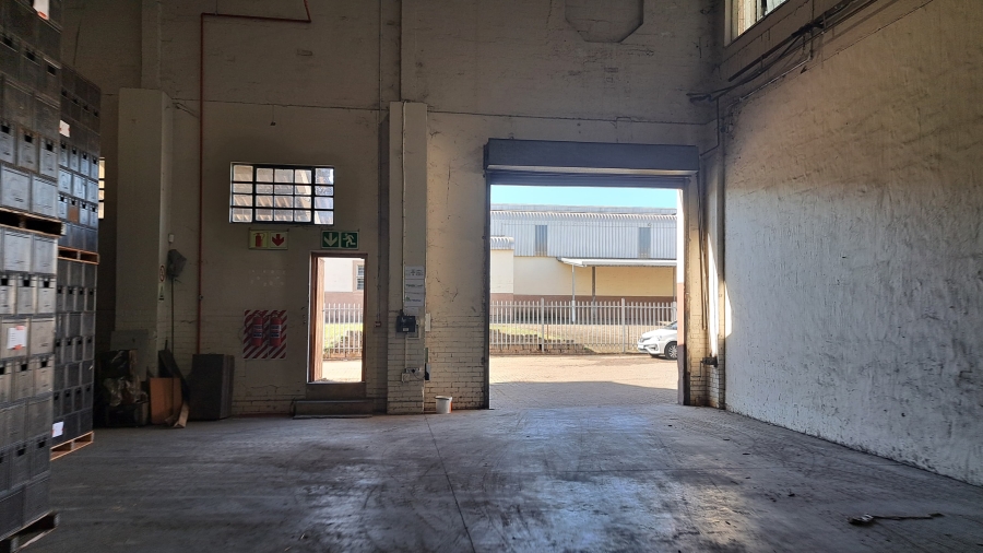 To Let commercial Property for Rent in Kuleka KwaZulu-Natal
