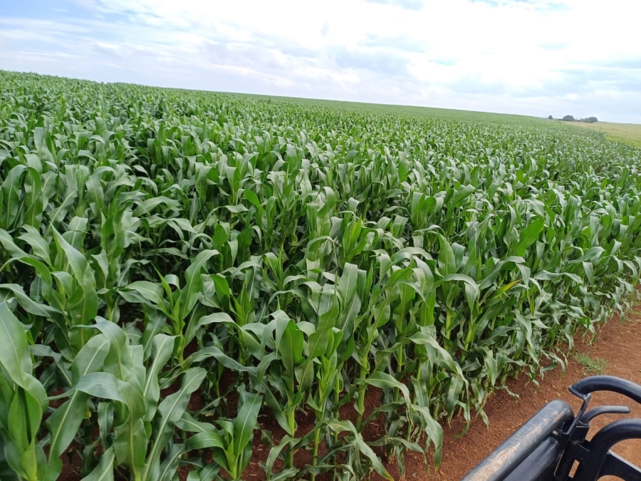 Commercial Property for Sale in Mpofana KwaZulu-Natal