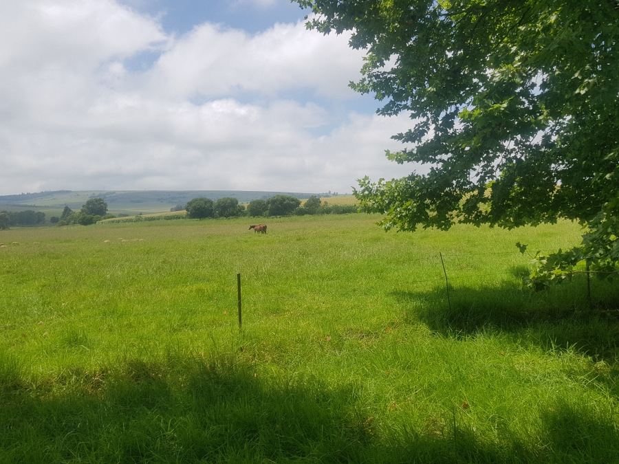 Commercial Property for Sale in Mpofana KwaZulu-Natal