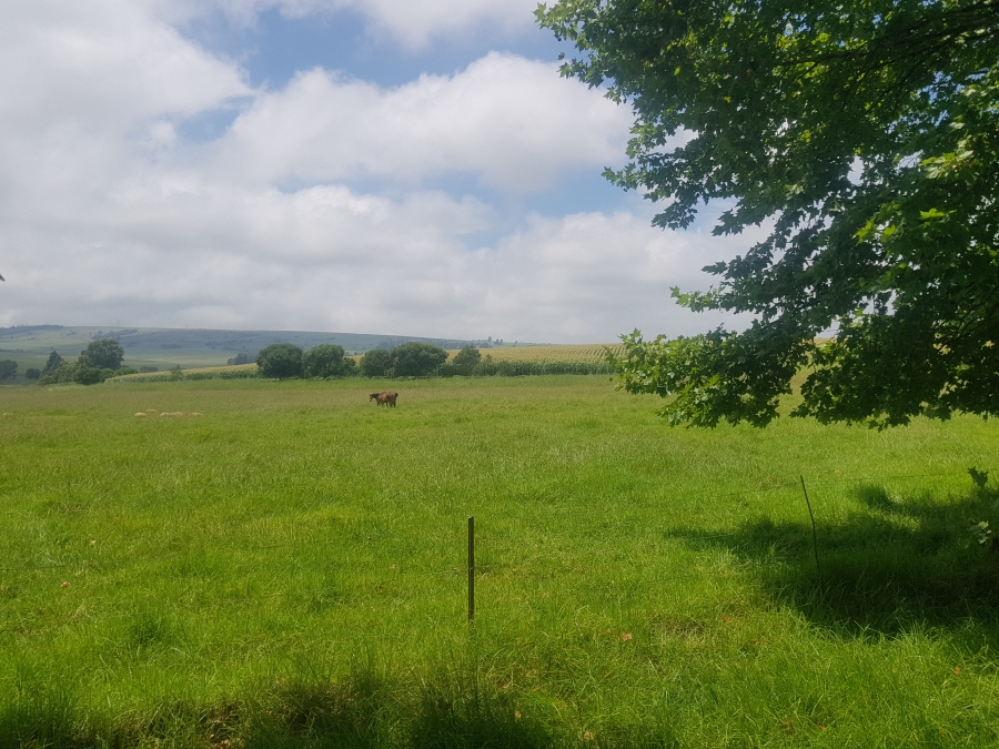 Commercial Property for Sale in Mpofana KwaZulu-Natal