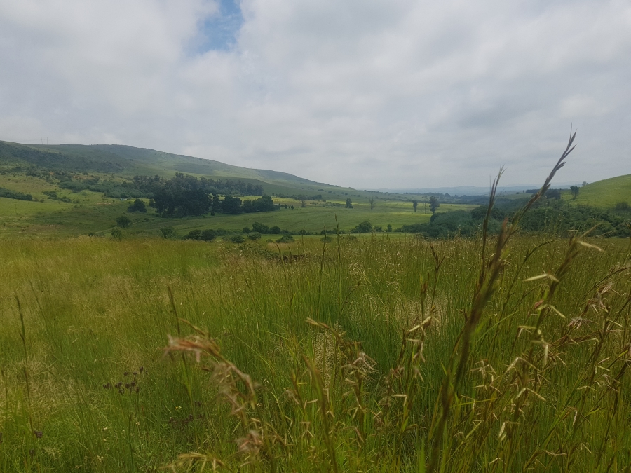 Commercial Property for Sale in Mpofana KwaZulu-Natal