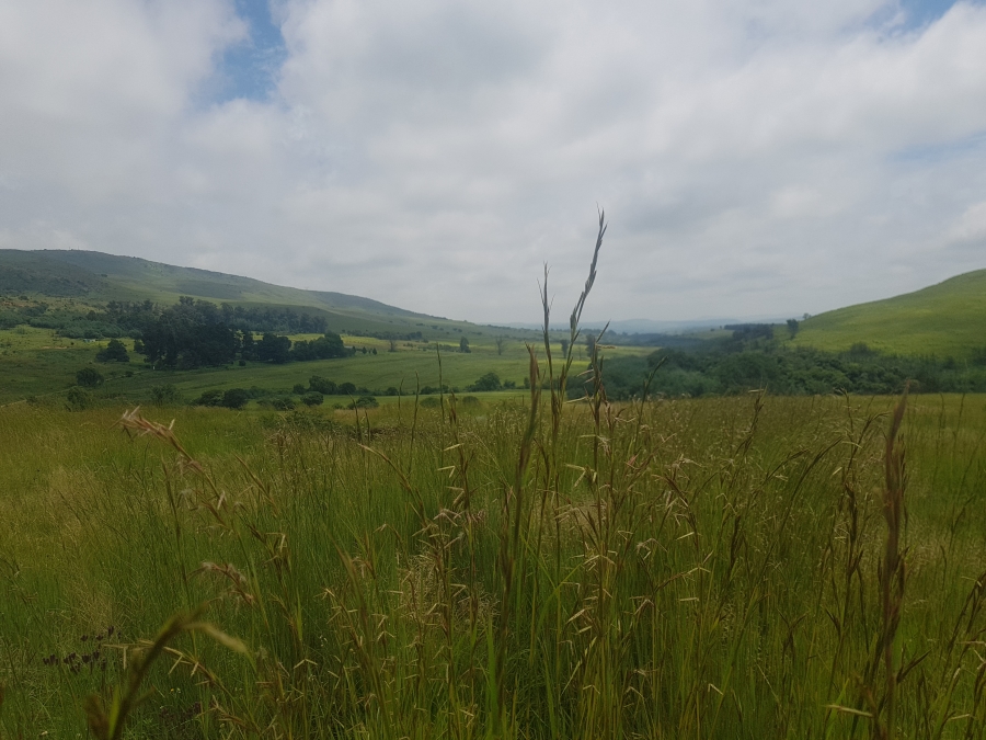 Commercial Property for Sale in Mpofana KwaZulu-Natal