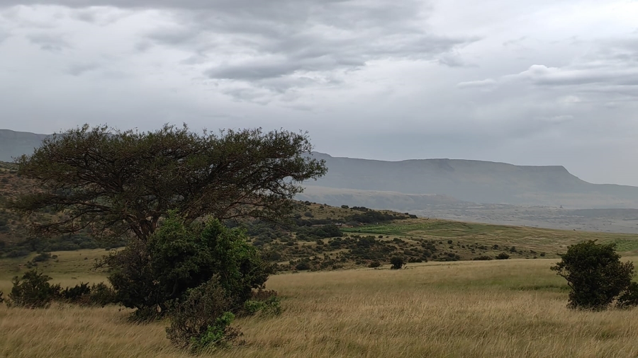 6 Bedroom Property for Sale in Utrecht Rural KwaZulu-Natal