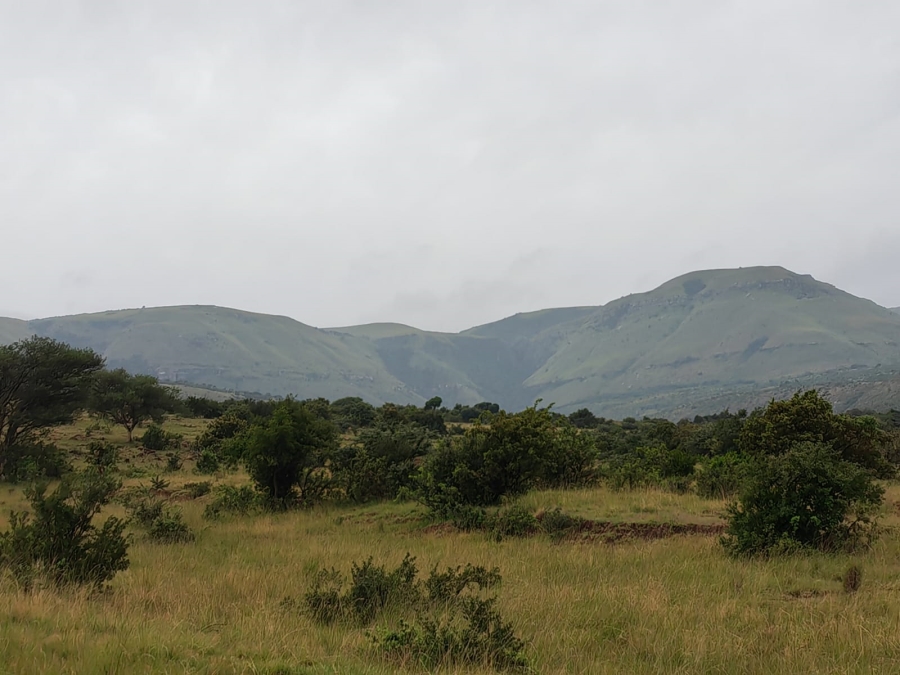 6 Bedroom Property for Sale in Utrecht Rural KwaZulu-Natal