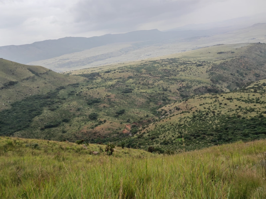 6 Bedroom Property for Sale in Utrecht Rural KwaZulu-Natal