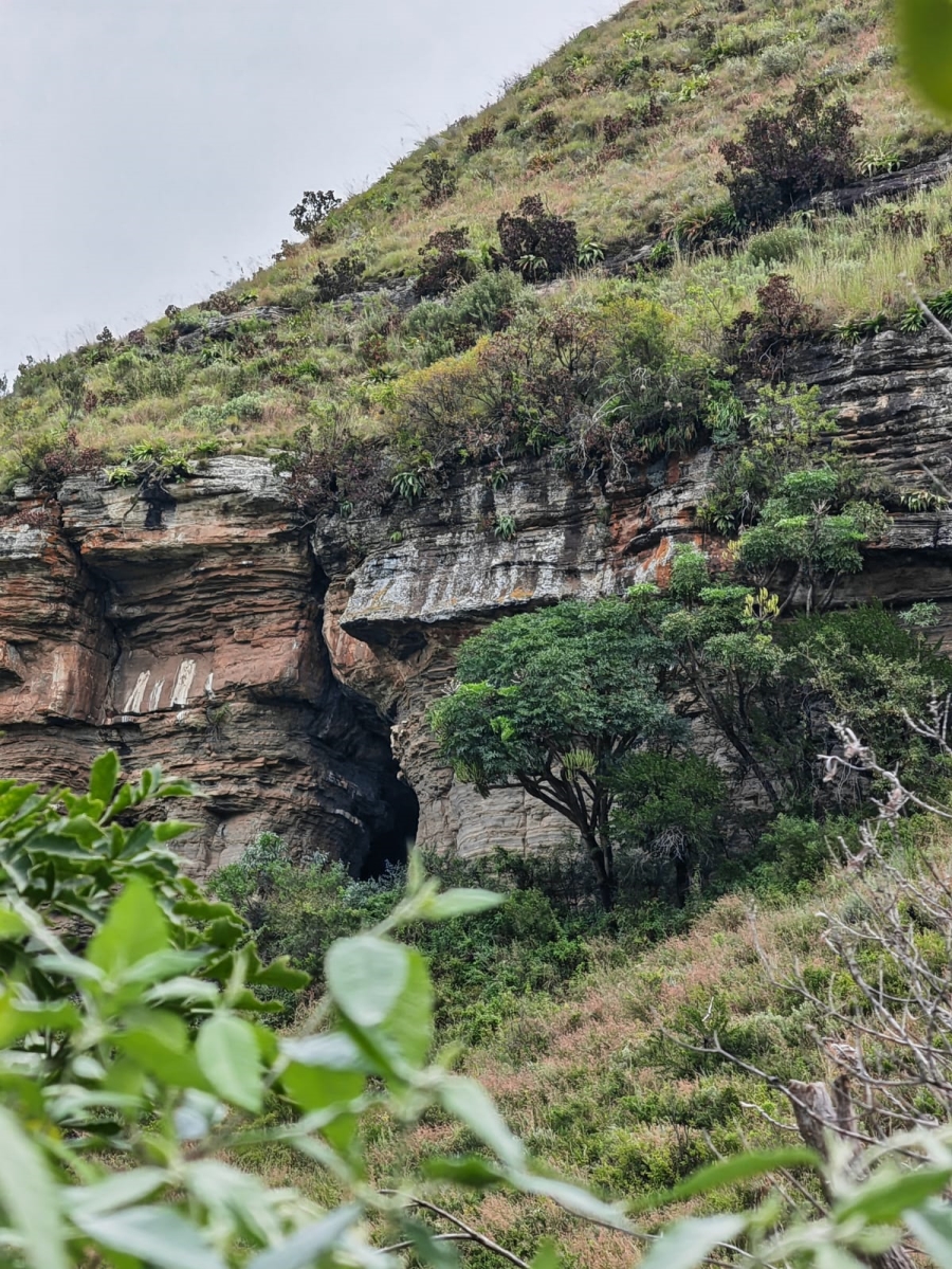 6 Bedroom Property for Sale in Utrecht Rural KwaZulu-Natal