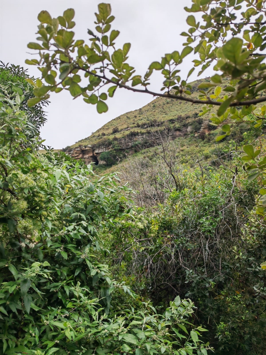 6 Bedroom Property for Sale in Utrecht Rural KwaZulu-Natal