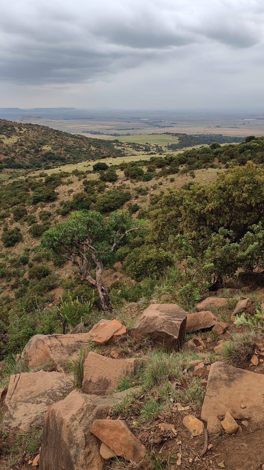 6 Bedroom Property for Sale in Utrecht Rural KwaZulu-Natal