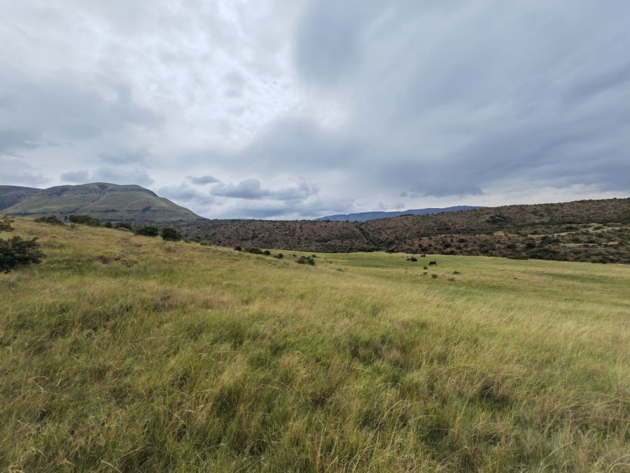 6 Bedroom Property for Sale in Utrecht Rural KwaZulu-Natal