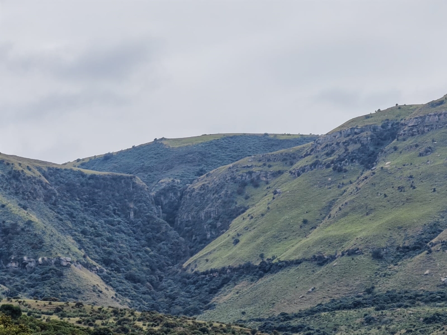 6 Bedroom Property for Sale in Utrecht Rural KwaZulu-Natal