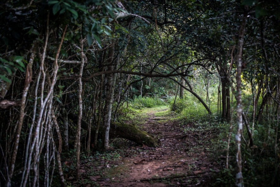 0 Bedroom Property for Sale in Simbithi Eco Estate KwaZulu-Natal