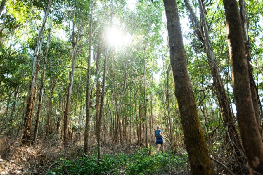 3 Bedroom Property for Sale in Seaton Estate KwaZulu-Natal