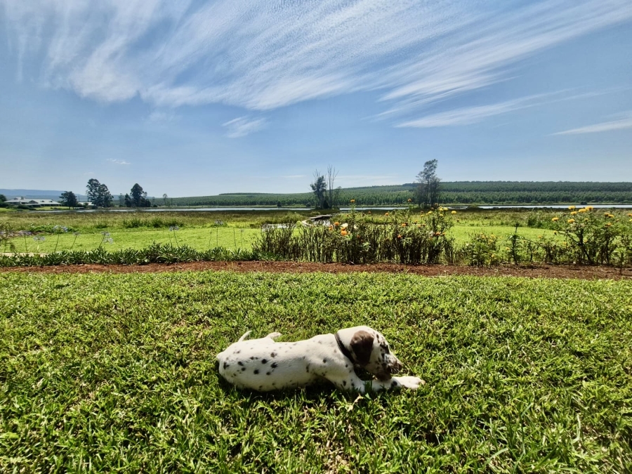 4 Bedroom Property for Sale in Cramond KwaZulu-Natal