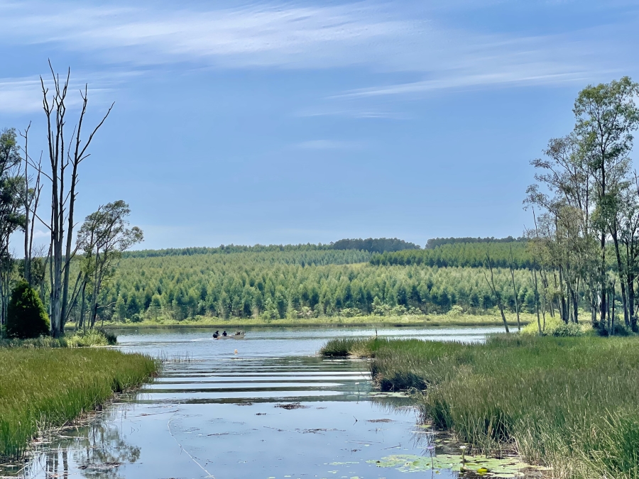 4 Bedroom Property for Sale in Cramond KwaZulu-Natal