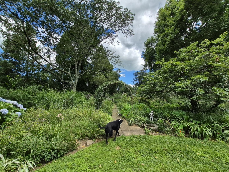 4 Bedroom Property for Sale in Lidgetton KwaZulu-Natal