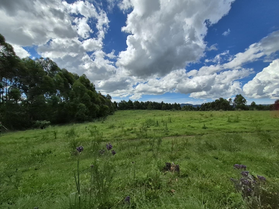 4 Bedroom Property for Sale in Lidgetton KwaZulu-Natal