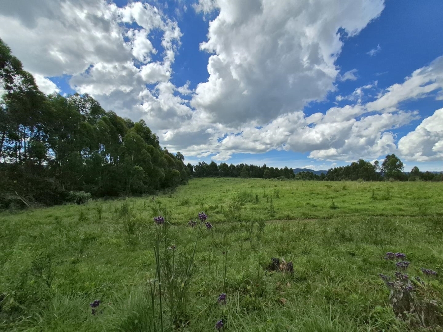 4 Bedroom Property for Sale in Lidgetton KwaZulu-Natal