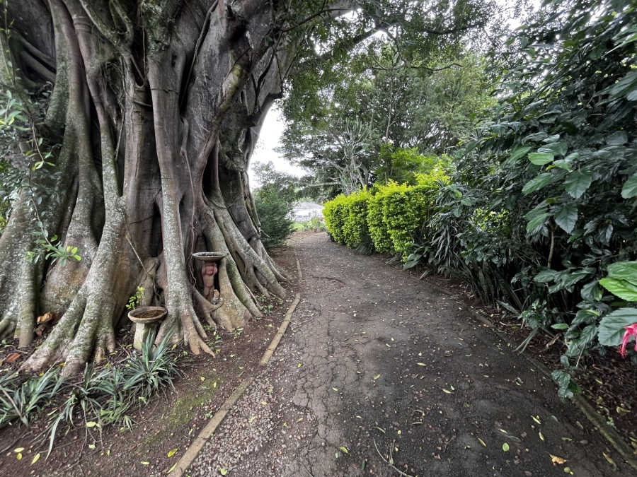 5 Bedroom Property for Sale in Richmond KwaZulu-Natal