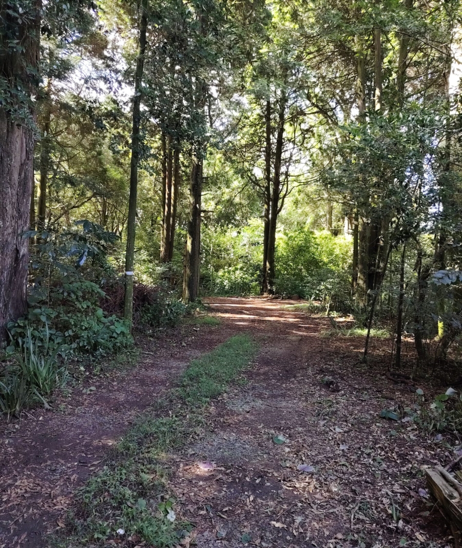 To Let 1 Bedroom Property for Rent in Winterskloof KwaZulu-Natal