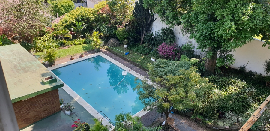 To Let 3 Bedroom Property for Rent in Essenwood KwaZulu-Natal