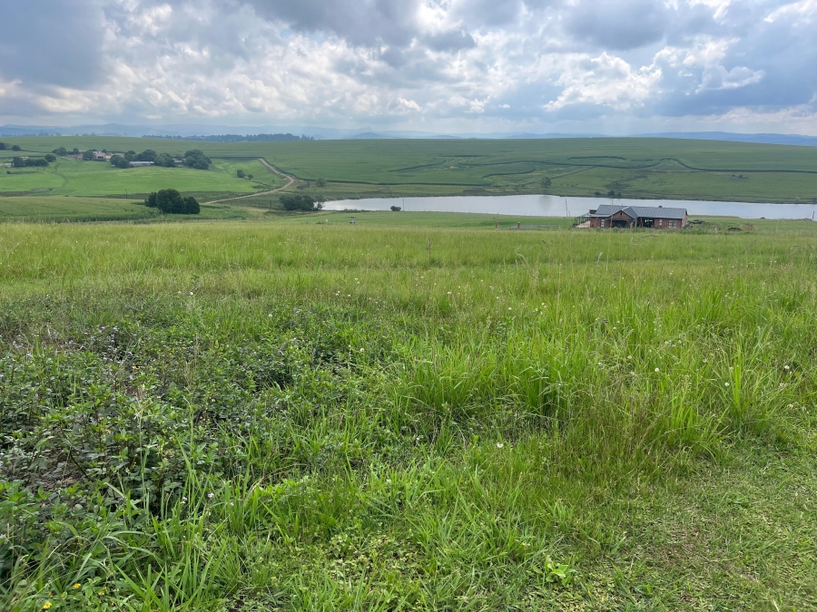 0 Bedroom Property for Sale in Hilton Rural KwaZulu-Natal