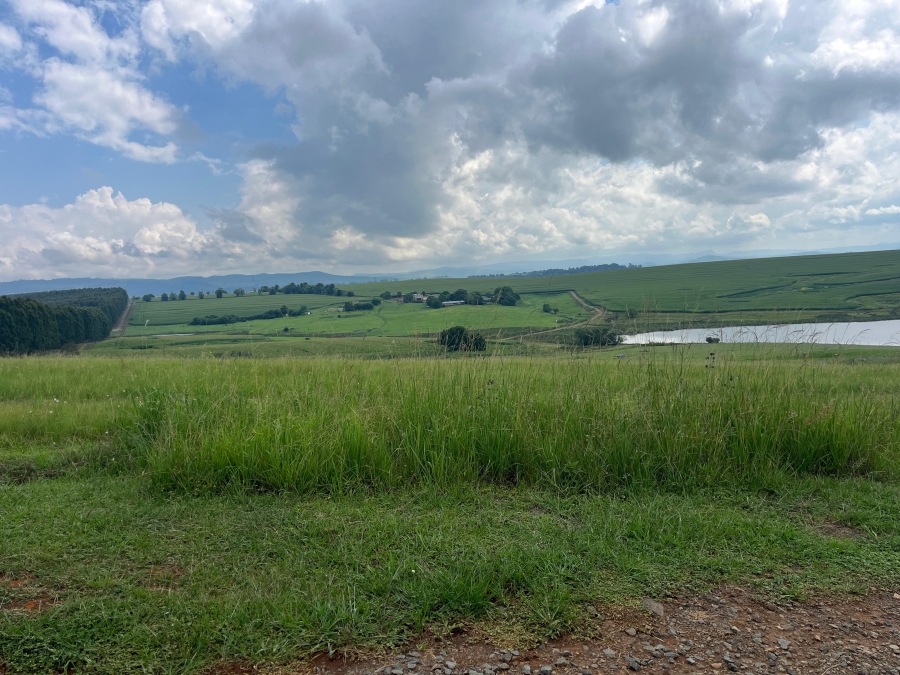 0 Bedroom Property for Sale in Hilton Rural KwaZulu-Natal