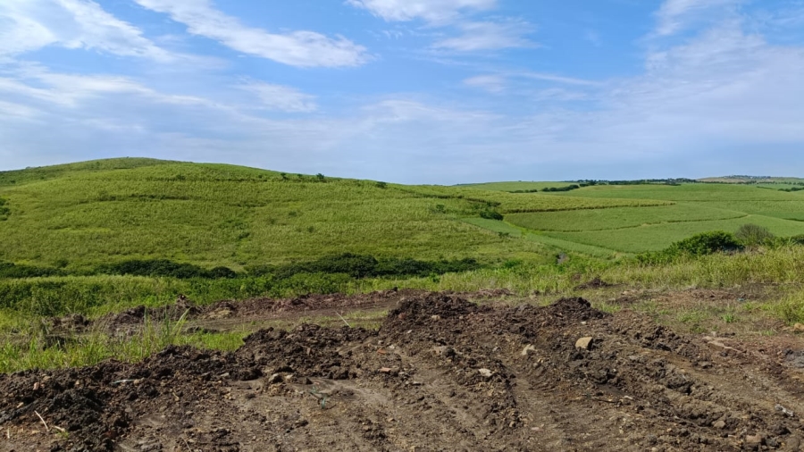 4 Bedroom Property for Sale in Palm Lakes Estate KwaZulu-Natal