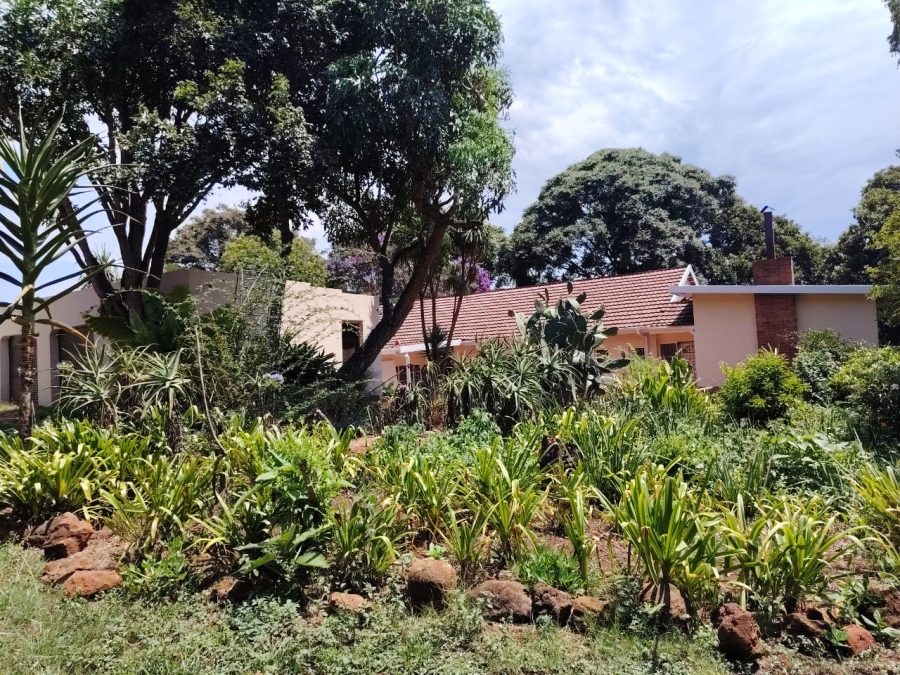 To Let 4 Bedroom Property for Rent in Merrivale KwaZulu-Natal