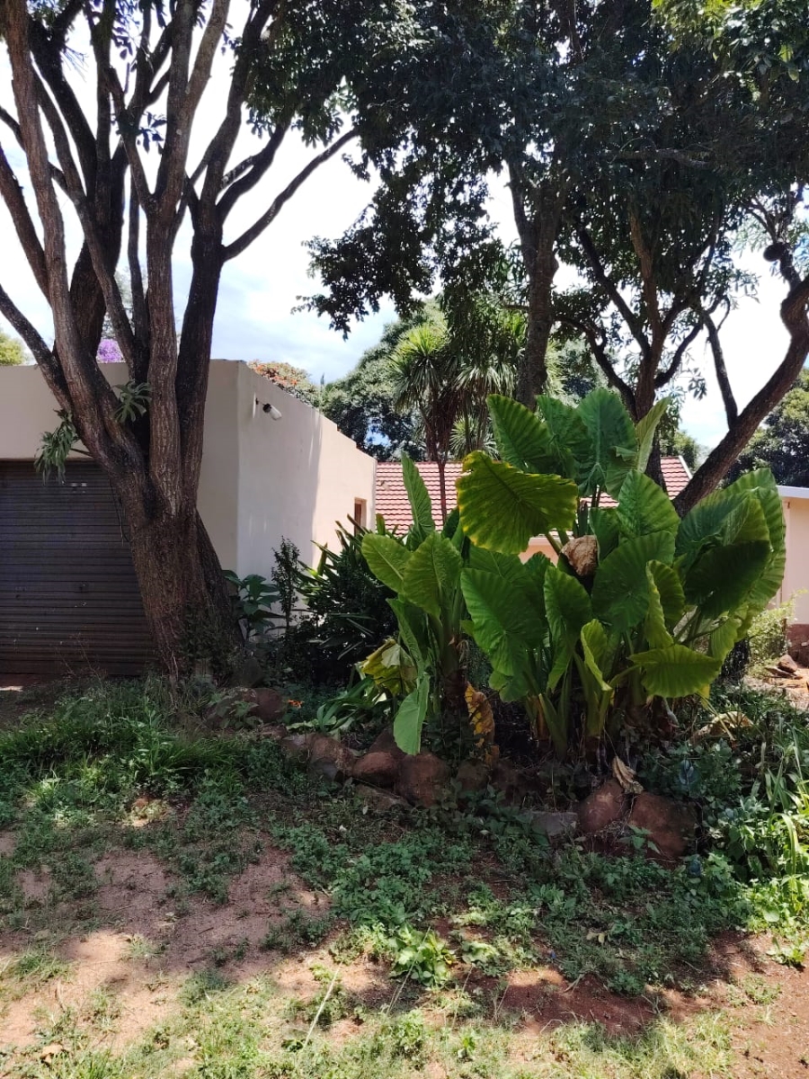 To Let 4 Bedroom Property for Rent in Merrivale KwaZulu-Natal
