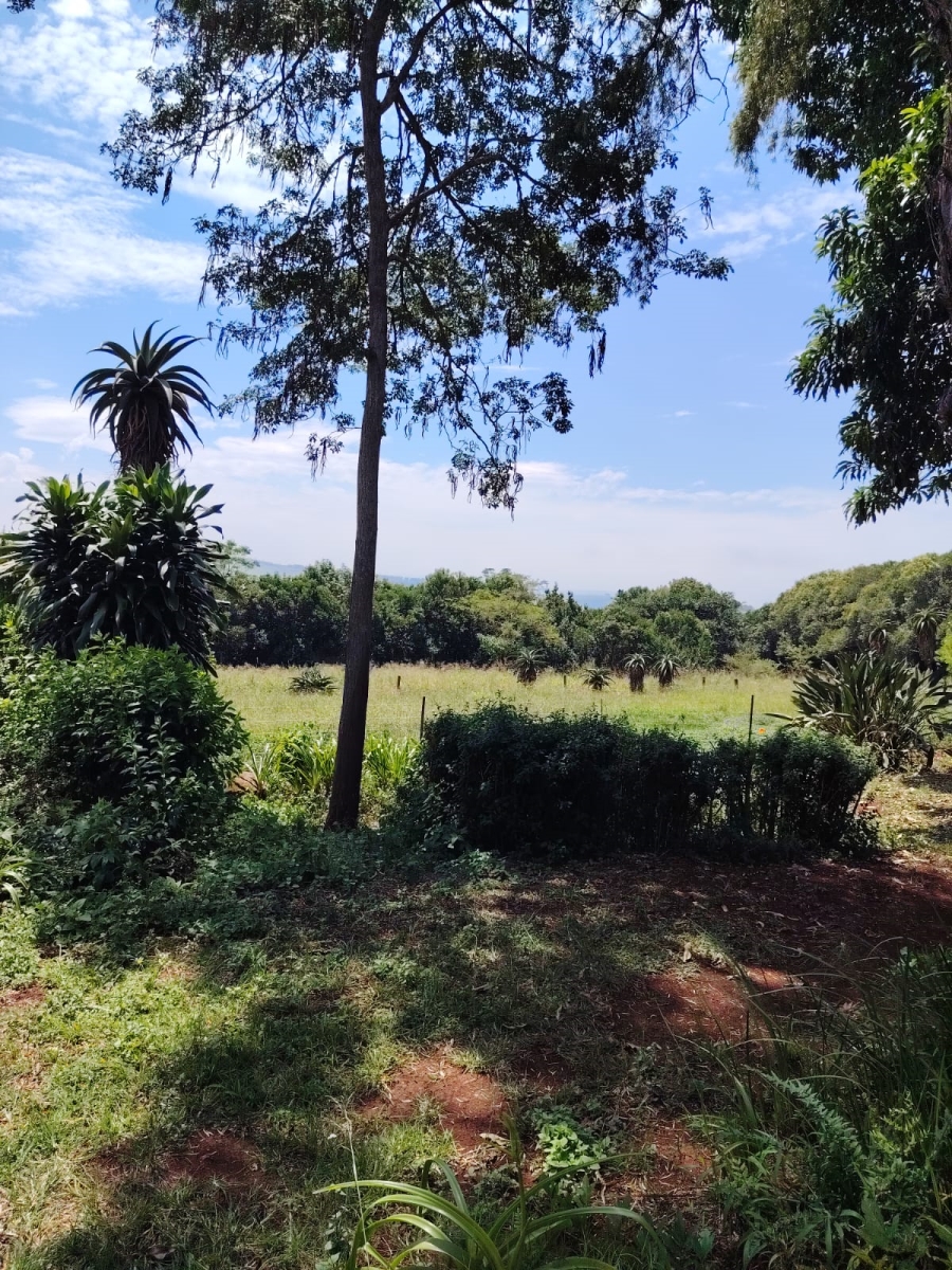 To Let 4 Bedroom Property for Rent in Merrivale KwaZulu-Natal