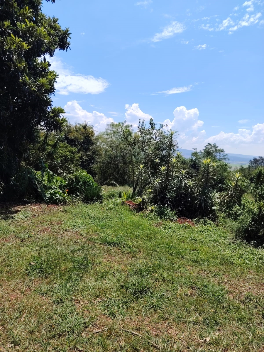 To Let 4 Bedroom Property for Rent in Merrivale KwaZulu-Natal