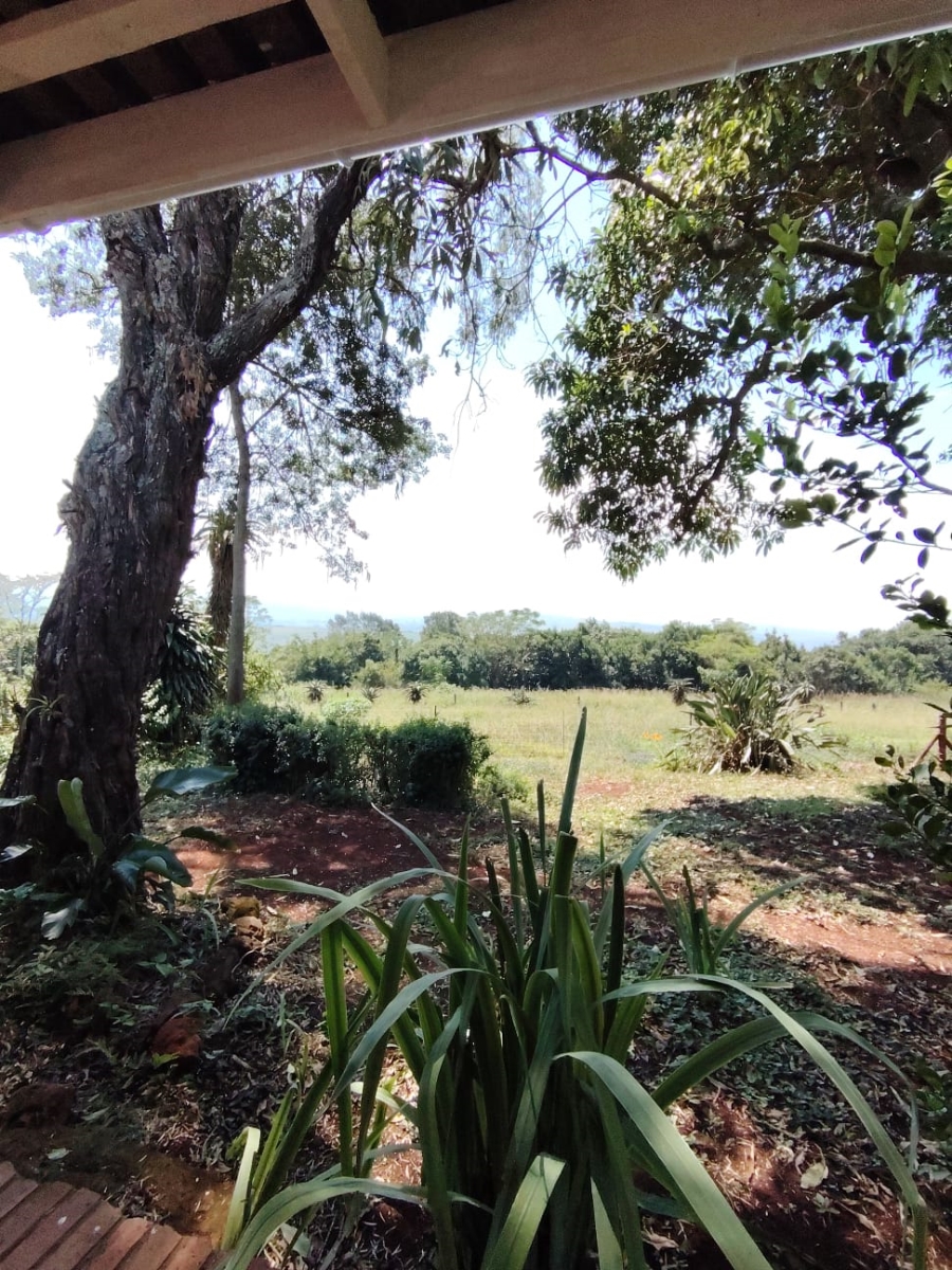 To Let 4 Bedroom Property for Rent in Merrivale KwaZulu-Natal