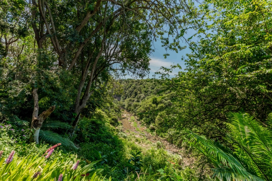 5 Bedroom Property for Sale in Westville Central KwaZulu-Natal