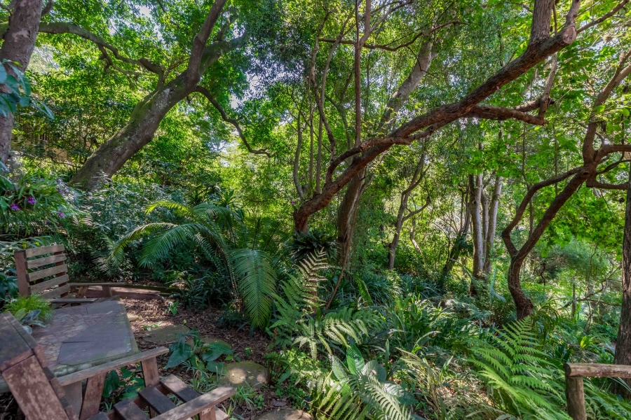 5 Bedroom Property for Sale in Westville Central KwaZulu-Natal