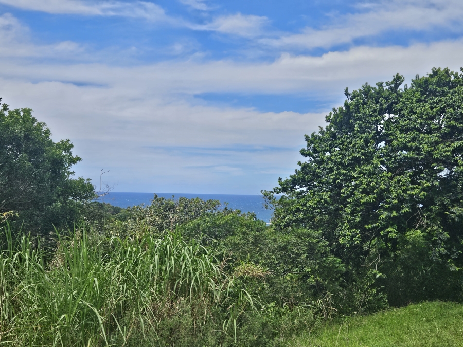 0 Bedroom Property for Sale in Clansthal KwaZulu-Natal